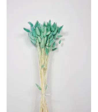 Lagurus Premium Engros Buchet aprox 90-100 fire , 40-50cm