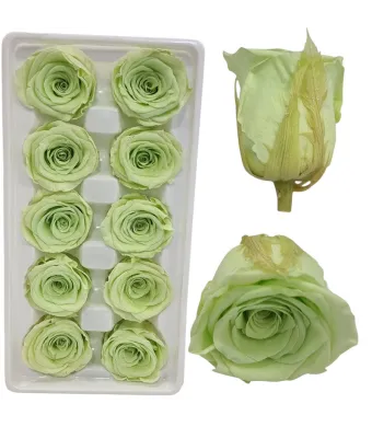 Trandafiri Criogenati engros 10/buc set 7 cm cu codita