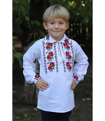 Ie Engros pentru baieti, cu maneca lunga, Tavi