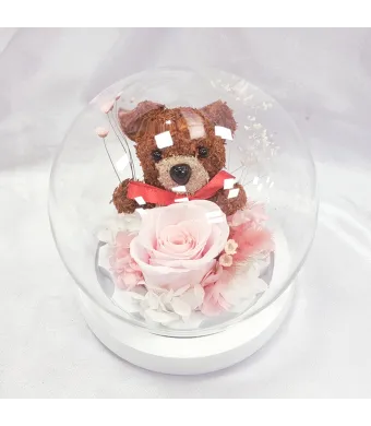 Decoratiune cu lumini aranjament flori Criogenate trandafir in cupola de sticla