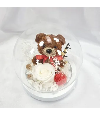 Decoratiune cu lumini aranjament flori Criogenate trandafir in cupola de sticla