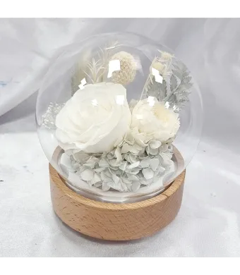 Decoratiune muzicala din lemn cu aranjament flori Criogenate trandafir in cupola de sticla