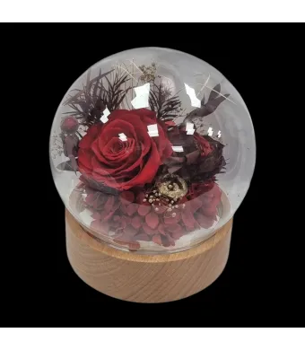 Decoratiune muzicala din lemn cu aranjament flori Criogenate trandafir in cupola de sticla