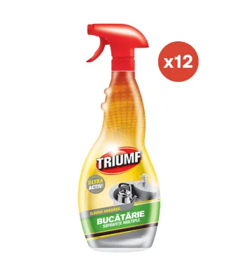 Solutie Engros degresant pentru curatare suprafete bucatarie Triumf, 500 ml	/12buc