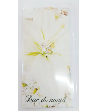 Set Felicitari engros Nuntă și botez 10x21 cm 6 buc/set