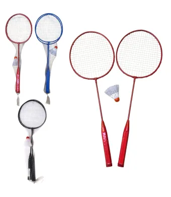 Palete Badminton 2/set cu un Fluturas din Plastic 55cm Diferite Culori Engros