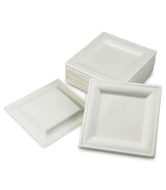 Farfurii biodegradabile patrate engros (15 cm)