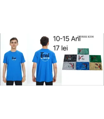 Tricou Engros pentru baieti, cu model imprimat (Alb)