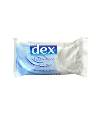 Sapun solid Engros, DEX, 100 gr, bax 72 buc