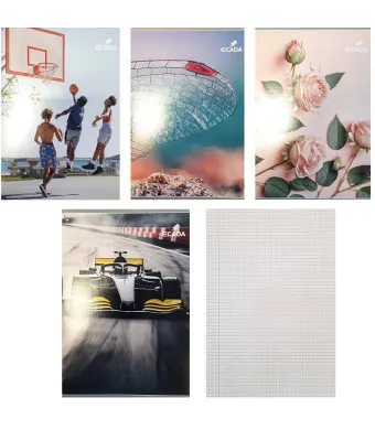 Caiet a5 48 file ecada matematica