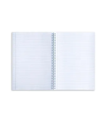 Caiet a4 80 file spira dictando