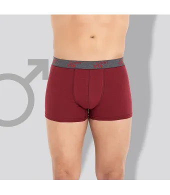 Boxeri Barbat Berfin Engros BORDO (M-L-XL-2XL)