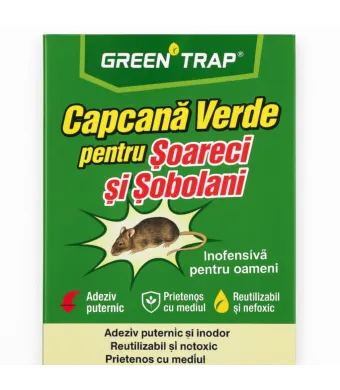 Capcană Verde pentru Șoareci și Șobolani Engros