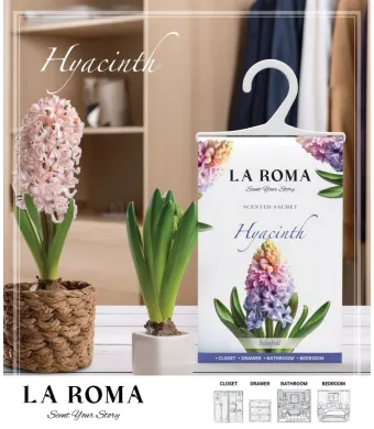 Odorizant cu umeras Engros pentru dulapul cu haine, La Roma